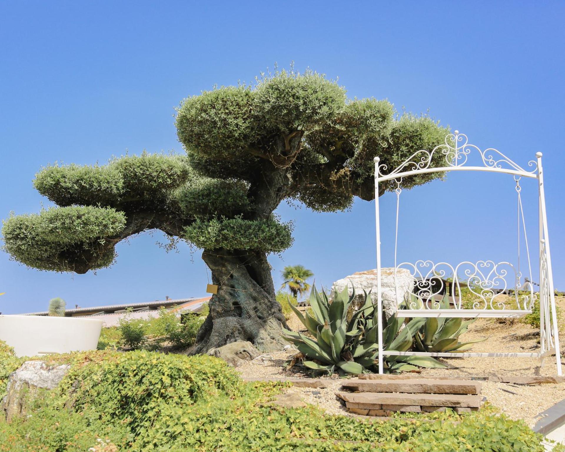 Relais Bellaria Hotel & Congressi サン・ラッザロ・ディ・サーヴェナ エクステリア 写真